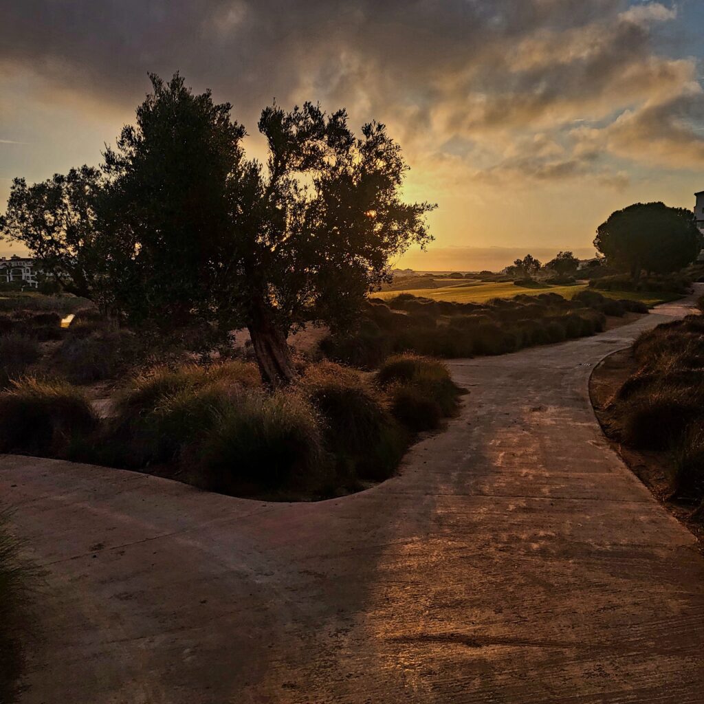 Holistic Coaching in Murcia Spain